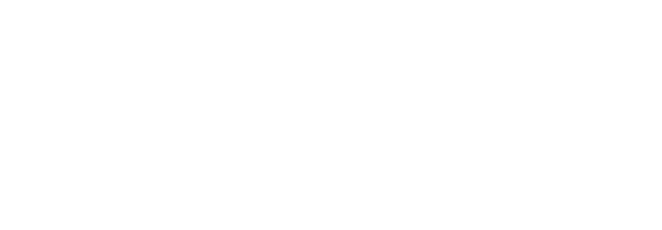 לוגו-לבן